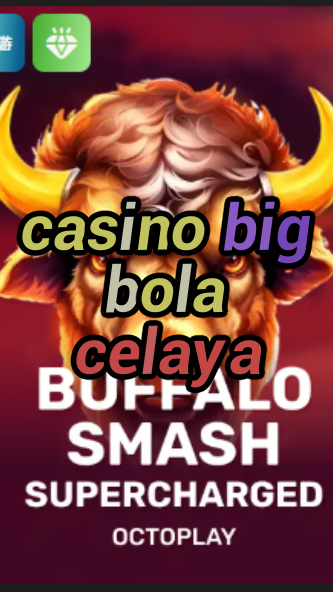 casino big bola celaya-w4cy2mdjlx2bf.com