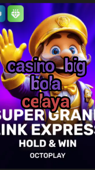casino big bola celaya-w4cy2mdjlx2bf.com